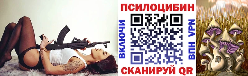 цены Узловая Галлюциногенные грибы мицелий